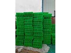 厂家直销 塑料植草格图3
