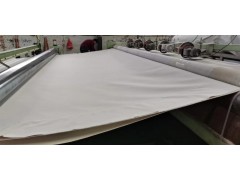 厂家直销 土工膜 复合土工膜 垃圾填埋场 污水处理厂首选材料图3