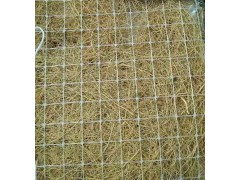椰丝植被毯  施工方便 强度高 厂家直销图1