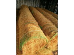 椰丝植被毯  施工方便 强度高 厂家直销图3