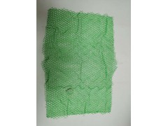 厂家直销三维植被网 施工方便 强度高 量大从优图1