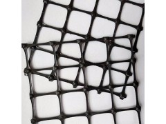 强度高不易变形厂家直销塑料土工网图2