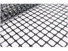 强度高不易变形厂家直销塑料土工网图3