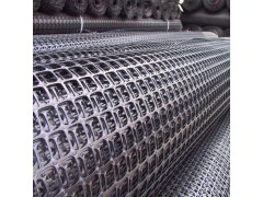 厂家直销塑料土工格栅图2