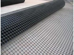 厂家直销塑料土工格栅图3