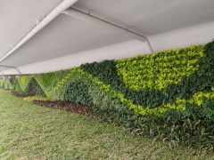 钢结构真植物围蔽定制建筑工地施工防护原生态装配式垂直绿化围挡图1