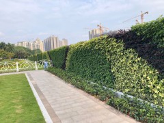 钢结构真植物围蔽定制建筑工地施工防护原生态装配式垂直绿化围挡图2