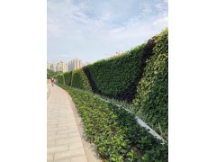 钢结构真植物围蔽定制建筑工地施工防护原生态装配式垂直绿化围挡图3