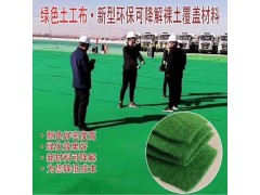 土工布图1