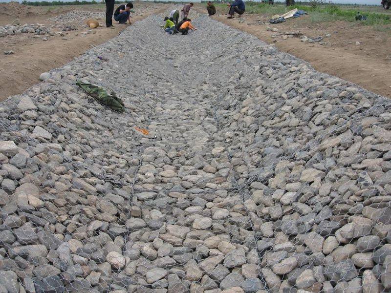 那边那你爸妈吗