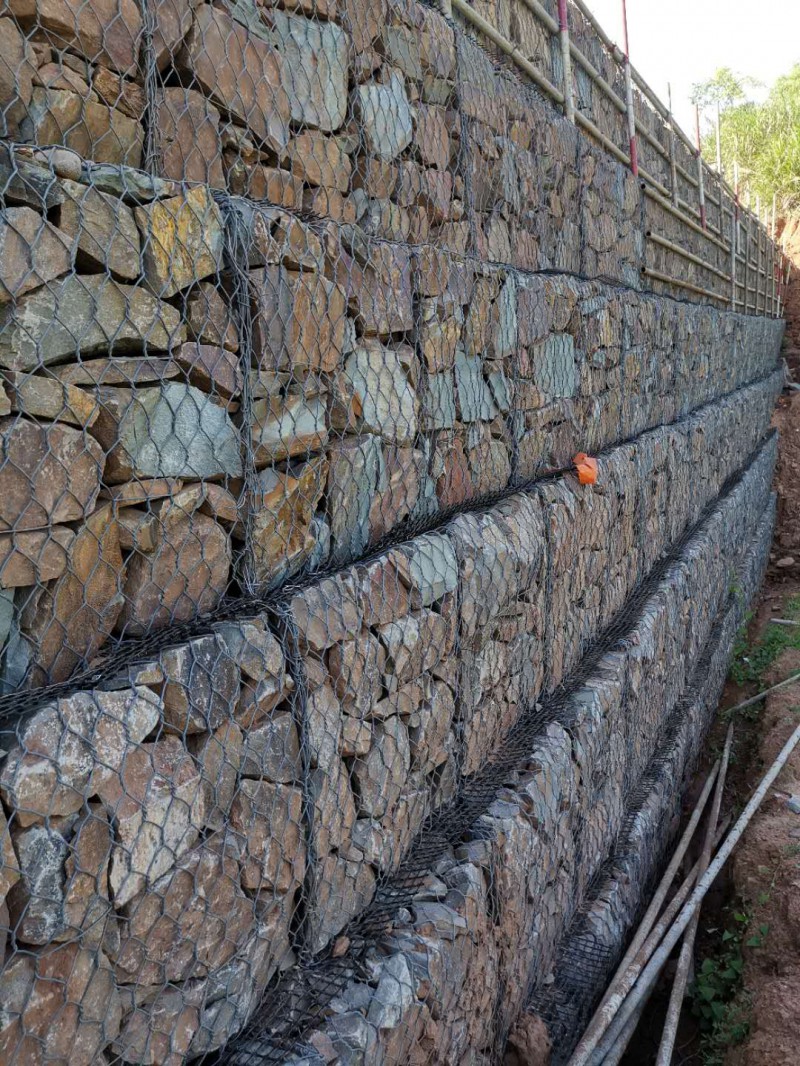 微信图片_20201019082958