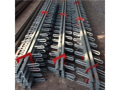 公路桥梁伸缩缝在桥梁中作用图2