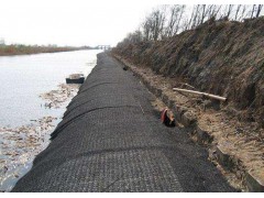 六角网加筋麦克垫-生态自然恢复加筋麦克垫图2