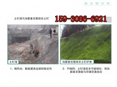 镀高尔凡加筋麦克垫 300g加筋麦克垫防洪防冲刷图1