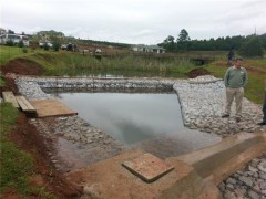 延边绿滨垫厂家-绿滨垫土壤加固图3