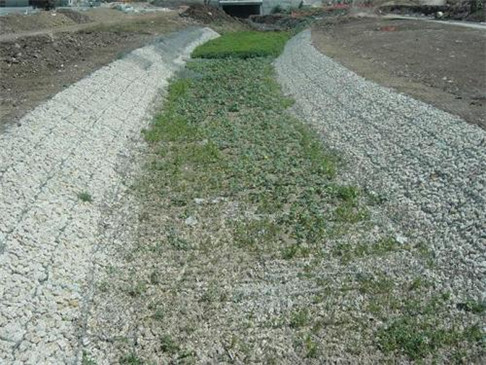 高防腐光丰贵不贵年纪_wps图片