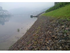 绿格网绿滨垫—生态格网绿滨垫绿化河岸图1