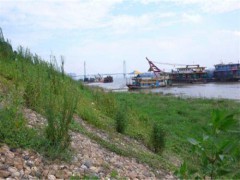 绿格网绿滨垫—生态格网绿滨垫绿化河岸图2