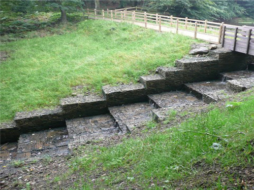 u=3703763174,2791417351&fm=11&gp=0_wps图片