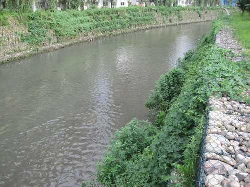 大润发的说法大富大贵发个_wps图片