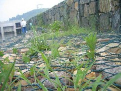 蜂巢格绿滨垫河道治理专用网-六角形绿滨垫图2