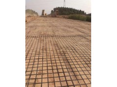 盈旭厂家生产直销钢塑土工格栅图2