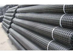 盈旭厂家生产直销钢塑土工格栅图3