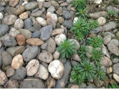 高锌雷诺护垫护坡雷诺护垫打造景观河道图3