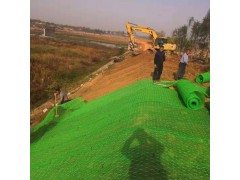 加筋麦克垫原材料聚丙烯加绿格石笼网图2