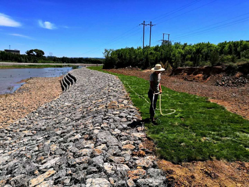 微信图片_20200917142733