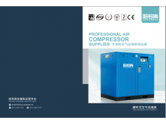 厂家高品质螺杆空压机图1