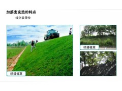 佳木斯植草加筋麦克垫营造生态堤坝图3