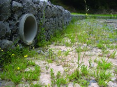 生态环保宾格网连体式图1