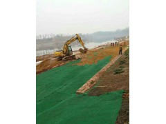 边坡覆绿加筋麦克垫450克±45图1