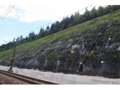 边坡覆绿加筋麦克垫450克±45图3