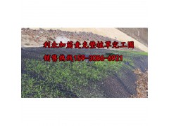 植草护岸镀高尔凡加筋麦克垫@厂家现货供应图3