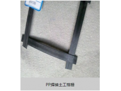 长期供应钢塑土工格栅图1