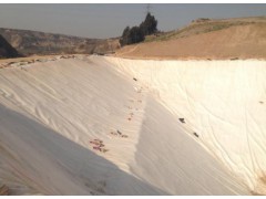 短纤针刺非织造土工布图2