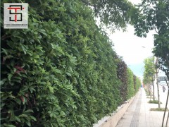 三田浅析绿植围挡施工要注意的内容图2