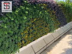 绿植围挡的安装和广告设计需要注意些什么呢？图2