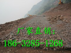 双隔板雷诺护垫生产厂家HL全自动流水线雷诺护垫厂家图1