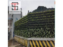 高品质广州绿植围挡可按需定制图2