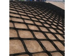 厂家信息护坡植草土工格室每平米价格 压纹打孔土工网格图1