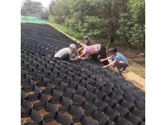 厂家信息护坡植草土工格室每平米价格 压纹打孔土工网格图2