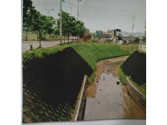 厂家信息护坡植草土工格室每平米价格 压纹打孔土工网格图3