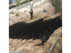 非标蜂窝土工格室10厘米生产厂家 用于护坡植草土工格室价格图1