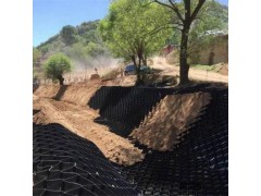 非标蜂窝土工格室10厘米生产厂家 用于护坡植草土工格室价格图3