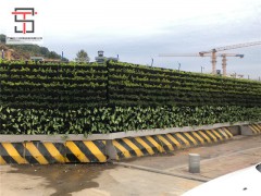 新型绿植草坪围挡登场临街工地换新装图3