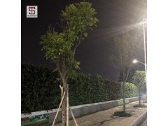 城市建设，用三田绿植围挡更安全！图2