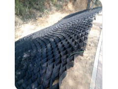 河南车库20厚塑料卷材排水板|屋面绿化专用塑料排水板图3